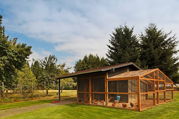 Large chicken coop on beautiful property
